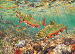 Cobble Hill 40182 - Brook Trout - 1000 db-os puzzle (40182)