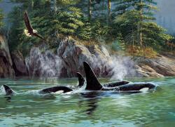 Cobble Hill 40183 - Orcas - 1000 db-os puzzle (40183)