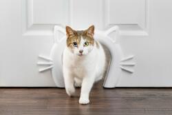 Petsafe Petsafe® Cat Corridor Beltéri Kisállatajtó