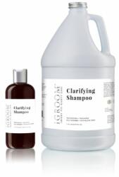  Clarifying Shampoo PineApple 470 ml