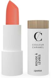 Couleur Caramel Lipstick 509
