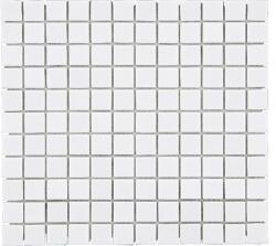 Mozaic piscină ceramic B-140 alb mat 30, 2x33 cm