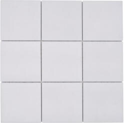 Mozaic piscină ceramic RAT 200 alb 30x30 cm