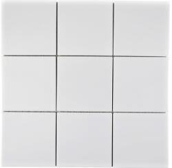 Mozaic piscină ceramic CQ 100 alb lucios 30x30 cm