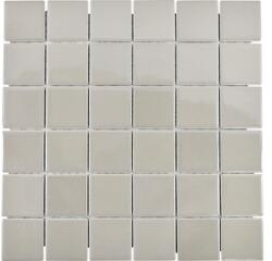  Mozaic piscină ceramic CD 282 maro lucios 30x30 cm