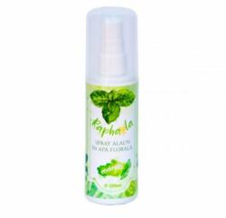 Steaua Divina Spray Alaun in apa florala de menta, 100ml, Steaua Divina - springfarma