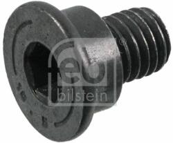 Febi Bilstein Surub, disc frana FEBI BILSTEIN 180528 (180528) - automobilus