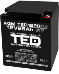 TED Electric Acumulator AGM VRLA 12V 28A dimensiuni speciale 165mm x 125mm x h 175mm M6 TED Battery Expert Holland TED003430 (TED003430)