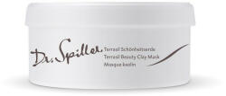 Dr. Spiller Masca pentru ten gras si acneic Terrasil Clay Mask 250g (SPIL-100)