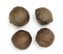  Moqui - Shaman Stones Mineral Natural Brut - 22-25 x 22-25 mm - ( M) - 1 Pereche