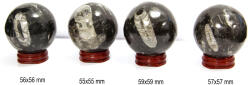  Sfera din Fosil Orthoceras Mineral Natural 55-59 mm - 1 Buc