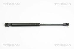 TRISCAN Amortizor portbagaj TRISCAN 8710 12212 (8710 12212) - automobilus