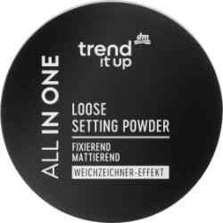 Trend ! t up All-in-One pudră translucidă pentru fixarea machiajului, 4, 5 g