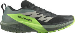 Salomon Pantofi trail Salomon SENSE RIDE 5 l47311100 Marime 45, 3 EU (l47311100)