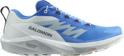 Salomon SENSE RIDE 5 Terepfutó cipők l47311800 Méret 41, 3 EU Férfi futócipő