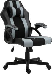 Ts Interior S. C Aston gamer szék fekete/szürke