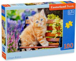 Castorland Пъзел Castorland от 180 части - Котенце (B-018178)