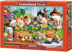 Castorland Пъзел Castorland от 1000 части - Задрямали котенца (C-105069-2)