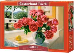 Castorland Пъзел Castorland от 3000 части - Летен спомен (C-300631-2)