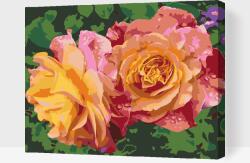 Festés számok szerint - Rózsa, a szépség virága Méret: 40x50cm, Keretezés: Műanyagtáblával