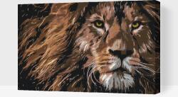  Festés számok szerint - Ragadozó tekintet Méret: 40x60cm, Keretezés: Kartonlemezen
