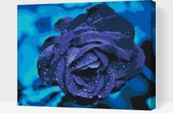 Festés számok szerint - Kék rózsa Méret: 30x40cm, Keretezés: Fatáblával