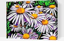  Festés számok szerint - Százszorszép Méret: 40x50cm, Keretezés: Kartonlemezen