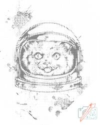  PontPöttyöző - NASA macska Méret: 30x40cm, Keretezés: Műanyagtáblával, Szín: Kék