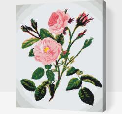  Festés számok szerint - Rózsaszín vadrózsák Méret: 40x50cm, Keretezés: Műanyagtáblával