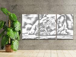 PontPöttyöző - Aranyos kis bulldog Méret: 40x60cm (3db), Keretezés: Kartonlemezen, Szín: Zöld