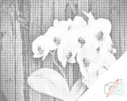 PontPöttyöző - Fehér orchidea Méret: 40x50cm, Keretezés: Fatáblával, Szín: Piros