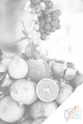 PontPöttyöző - Kókusz és gyümölcsök Méret: 40x60cm, Keretezés: Fatáblával, Szín: Piros
