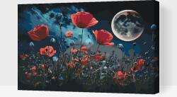 Festés számok szerint - Pipacsok a holdfényben Méret: 40x60cm, Keretezés: Kartonlemezen