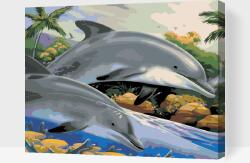 Festés számok szerint - Delfinek Méret: 30x40cm, Keretezés: Fatáblával