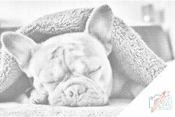  PontPöttyöző - Fáradt bulldog Méret: 40x60cm, Keretezés: Kartonlemezen, Szín: Zöld