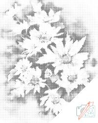 PontPöttyöző - Fehér őszi virág Méret: 40x50cm, Keretezés: Fatáblával, Szín: Fekete
