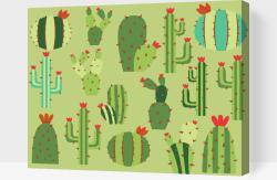 Festés számok szerint - Kaktusz háttér Méret: 30x40cm, Keretezés: Műanyagtáblával