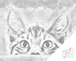  PontPöttyöző - Kíváncsi tekintet Méret: 30x40cm, Keretezés: Műanyagtáblával, Szín: Kék