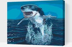  Festés számok szerint - Cápa a víz felett Méret: 40x50cm, Keretezés: Kartonlemezen