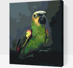 Festés számok szerint - Amazon-papagáj Méret: 30x40cm, Keretezés: Fatáblával