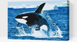  Festés számok szerint - Kardszárnyú delfin a levegőben Méret: 40x60cm, Keretezés: Műanyagtáblával