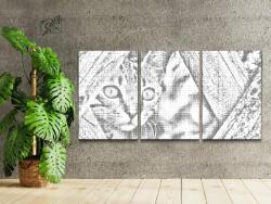  PontPöttyöző - Résen lévő macska (3 db-os készlet) Méret: 30x40cm (3db), Keretezés: Kartonlemezen, Szín: Zöld