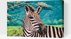  Festés számok szerint - Vad zebra Méret: 40x60cm, Keretezés: Műanyagtáblával