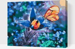 Festés számok szerint - Pillangó egy kék virágon Méret: 30x40cm, Keretezés: Kartonlemezen