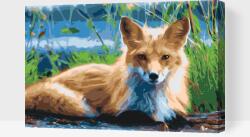  Festés számok szerint - Róka Méret: 40x60cm, Keretezés: Kartonlemezen