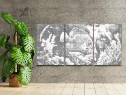  PontPöttyöző - Hal az akváriumban (3 db-os készlet) Méret: 30x40cm (3db), Keretezés: Kartonlemezen, Szín: Fekete