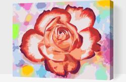Festés számok szerint - Rózsa színes háttérrel Méret: 40x50cm, Keretezés: Fatáblával