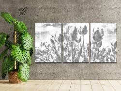PontPöttyöző - Tulipánmező (3 db-os készlet) Méret: 40x60cm (3db), Keretezés: Kartonlemezen, Szín: Piros