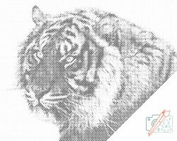 PontPöttyöző - Tigris Méret: 40x50cm, Keretezés: Fatáblával, Szín: Fekete