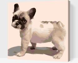  Festés számok szerint - Francia bulldog Méret: 50x50cm, Keretezés: Műanyagtáblával